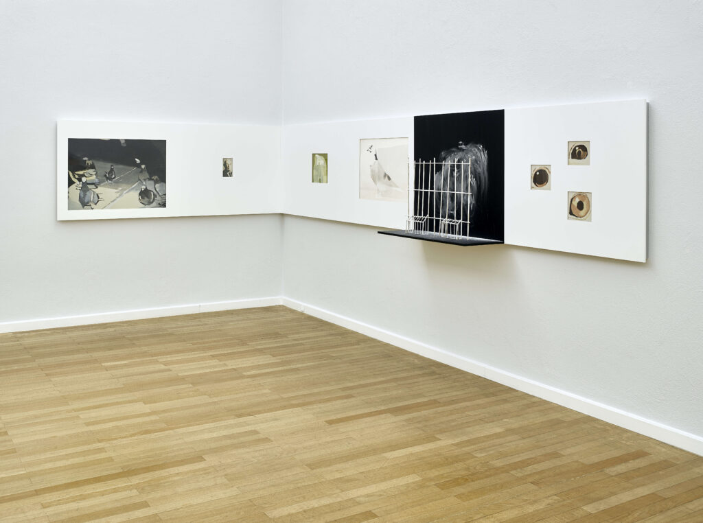 Luc Tuymans , The Rumour, 2002/03 , sieben Farblithografien unter Acrylglas eingelassen in drei weiße Holztafeln, hölzerner Vogelkäfig montiert vor schwarzer Holztafel, Babypuder